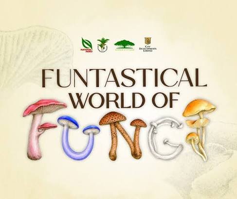 Funtastical World of Fungi — illustrated mushrooms spelling out the word fungi